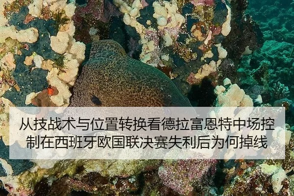 从技战术与位置转换看德拉富恩特中场控制在西班牙欧国联决赛失利后为何掉线