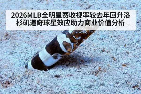 2026MLB全明星赛收视率较去年回升洛杉矶道奇球星效应助力商业价值分析