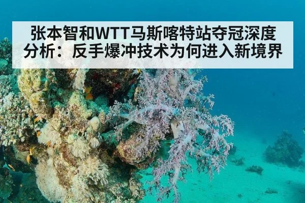 张本智和WTT马斯喀特站夺冠深度分析:反手爆冲技术为何进入新境界